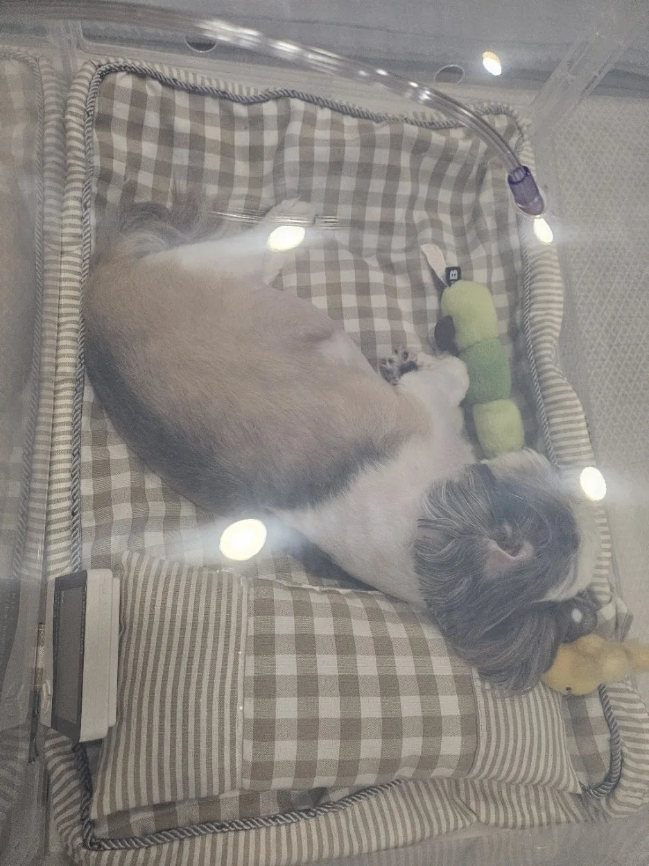 f37b54cf-bd97-48cb-b84a-0b1af74fc142.jpg?type=w1