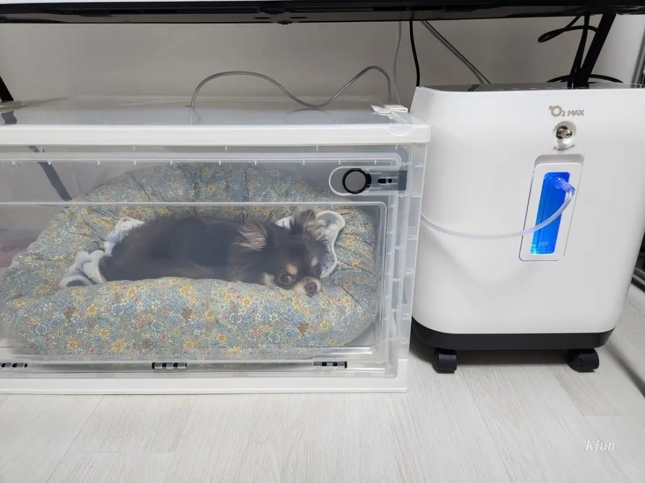 214fc1e9-2740-438d-b352-0a0b6d6347cf.jpeg?type=w1