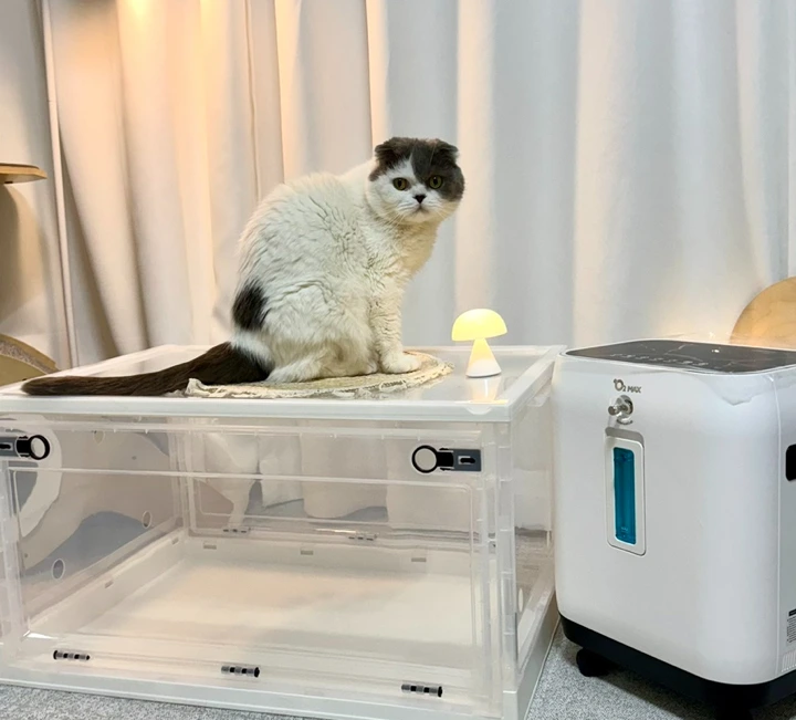 2568262f-9d8a-4c3d-90d8-0582f17fc21c.jpg?type=w1