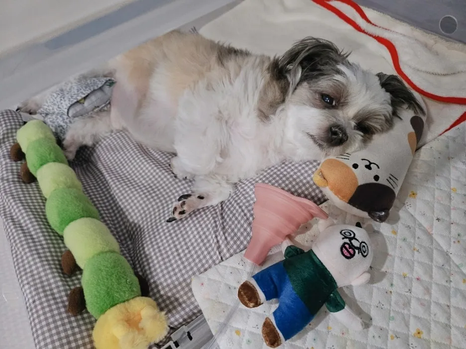 06cfd023-9538-4d05-8d89-2ac6bae89af2.jpg?type=w1