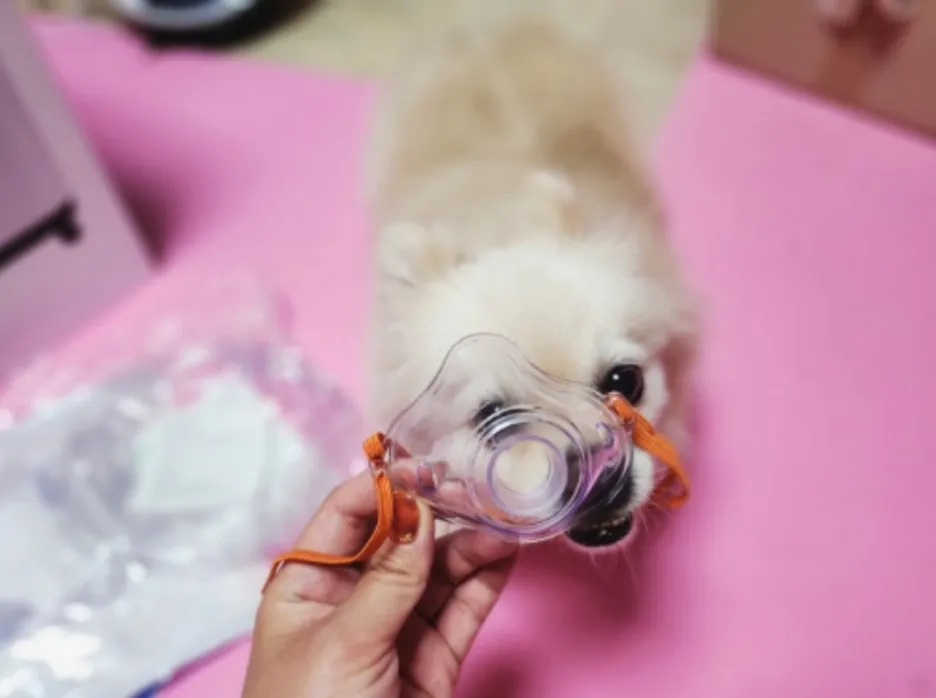 a8bee3e2-b894-436a-9695-b7f4d96a3a81.jpg?type=w1