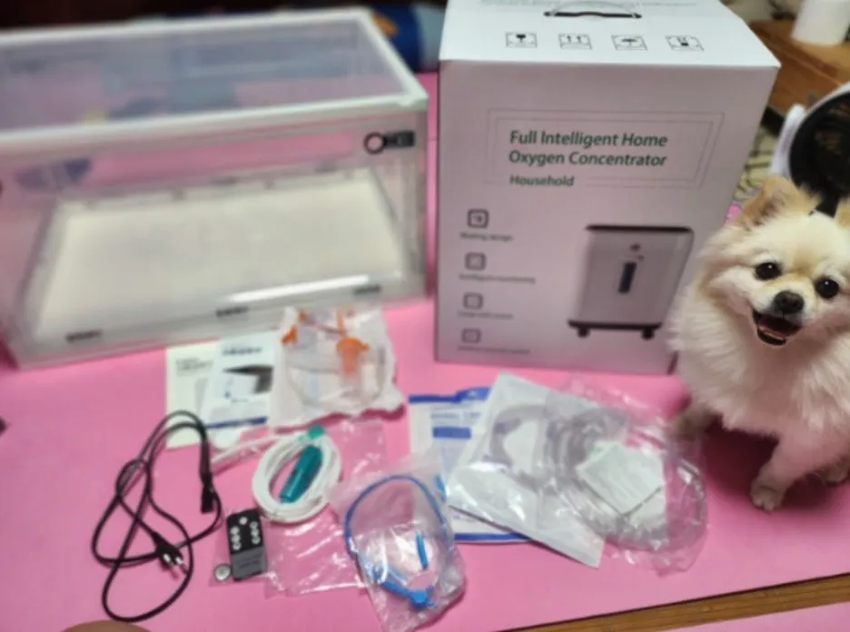 3a489273-2941-4708-94fe-7282366e805d.jpg?type=w1