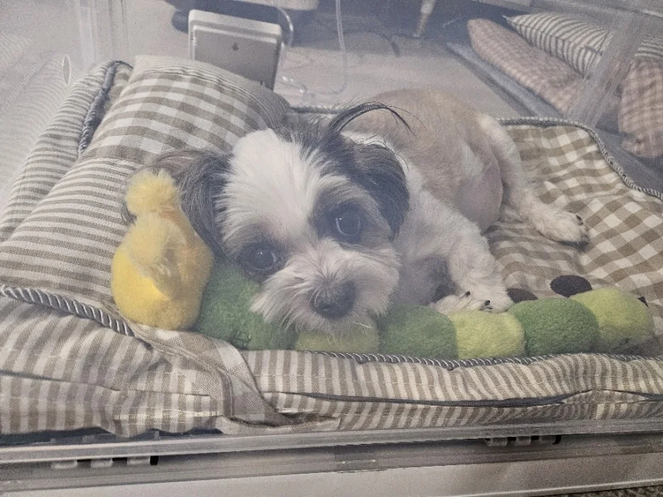 99050b09-ba77-4a1b-aecb-230400af21d9.jpg?type=w1