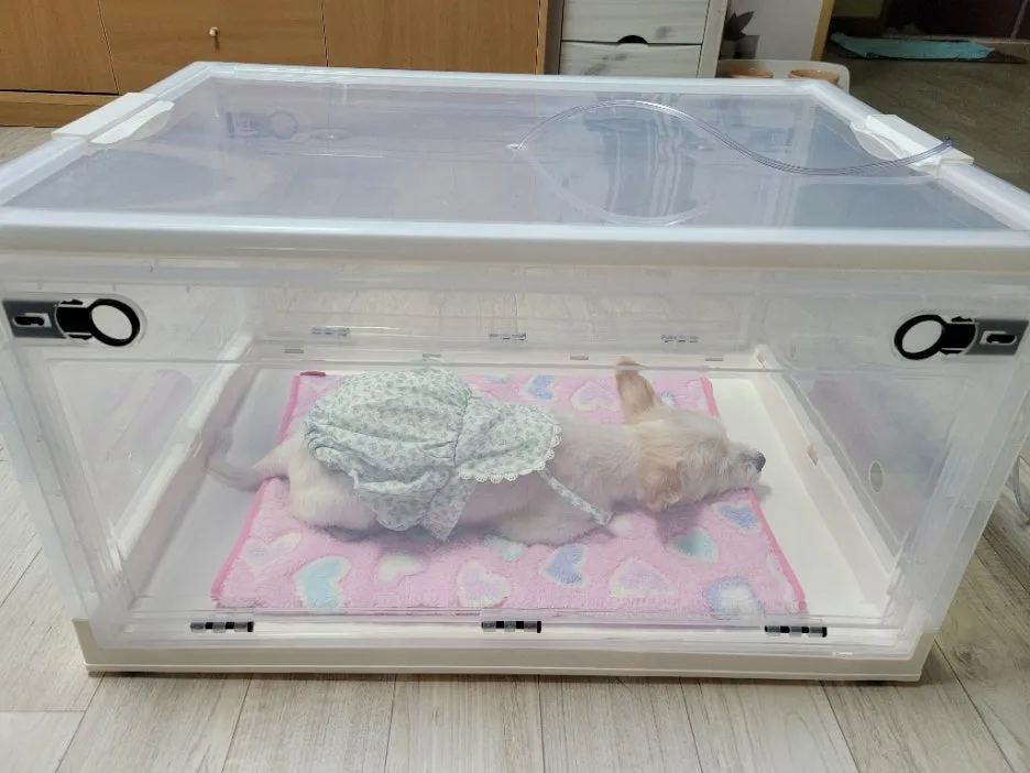 87f7cb60-37bd-4087-a091-2984892fb044.jpg?type=w1