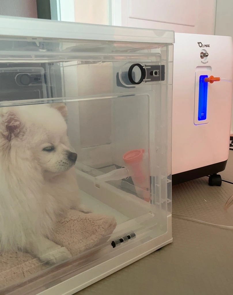 75f9dcb7-f033-4138-bfae-a1d3088e9742.jpeg?type=w1