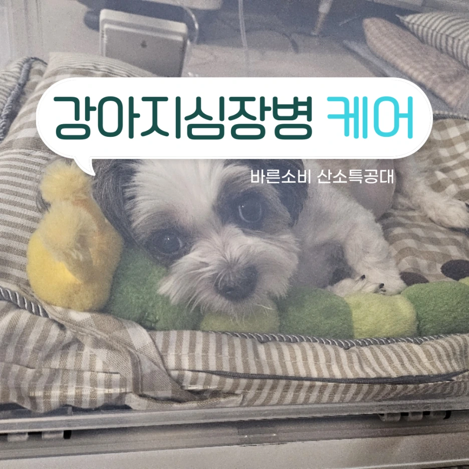 %EA%B0%95%EC%95%84%EC%A7%80%EC%82%B0%EC%86%8C%EB%B0%A92-002.png?type=w1