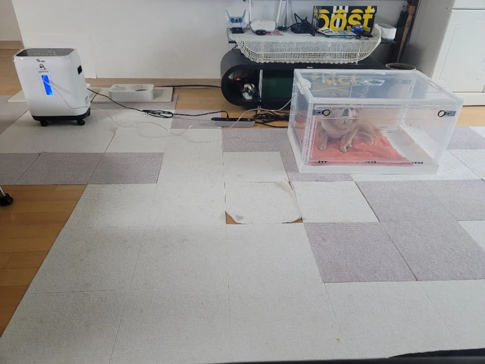 8afe25f1-ed5a-4d6d-a18f-23d50e00a304.jpg?type=w966