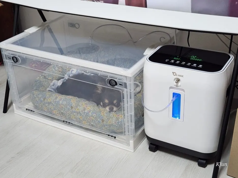 3fecccf5-cf6c-4204-bbdb-4e2ba08528eb.jpeg?type=w1