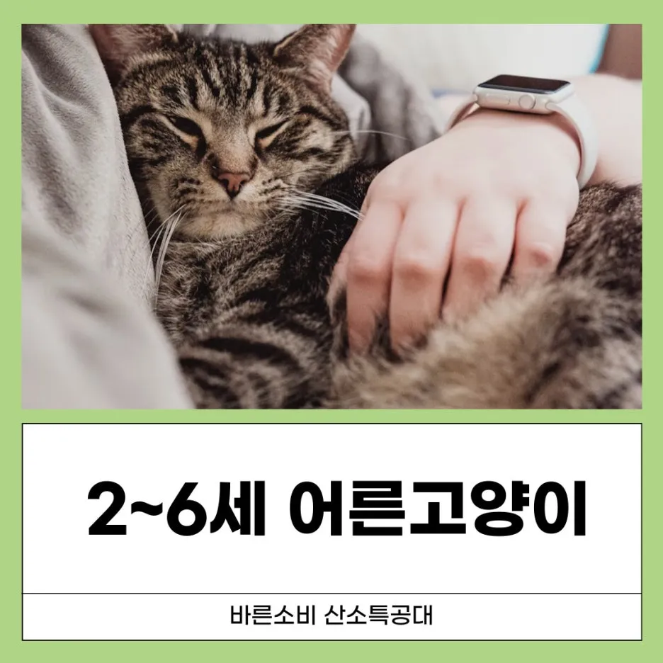 %EA%B0%95%EC%95%84%EC%A7%80%EC%82%B0%EC%86%8C%EB%B0%A9-%EB%B8%94%EB%A1%9C%EA%B7%B8-001_(2).jpg?type=w1