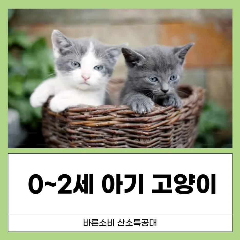 %EA%B0%95%EC%95%84%EC%A7%80%EC%82%B0%EC%86%8C%EB%B0%A9-%EB%B8%94%EB%A1%9C%EA%B7%B8-001_(1).jpg?type=w1