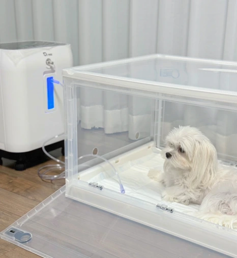 5d0ab6b4-58b1-4ec8-9b25-ba988189f420.png?type=w466