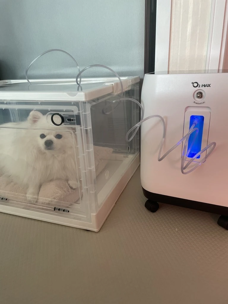 c91b5571-54bb-4218-909a-73c2c7869d2a.jpeg?type=w1