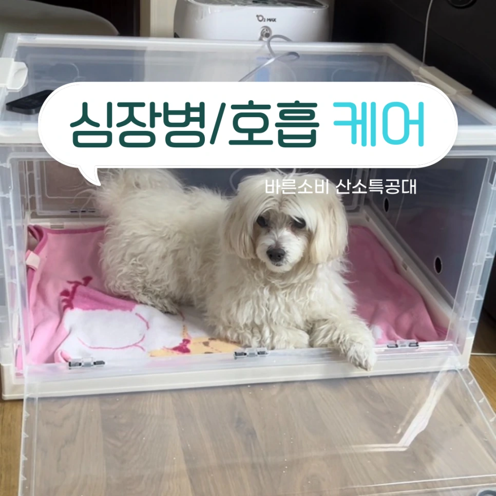 %EA%B0%95%EC%95%84%EC%A7%80%EC%82%B0%EC%86%8C%EB%B0%A92-006.png?type=w966