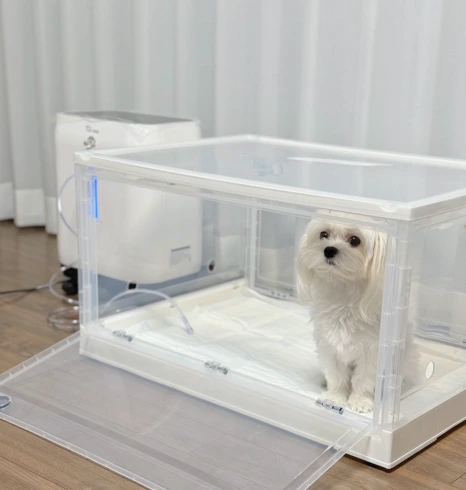 2df6a8be-33af-4230-9acd-4e3eb21a97cc.png?type=w466