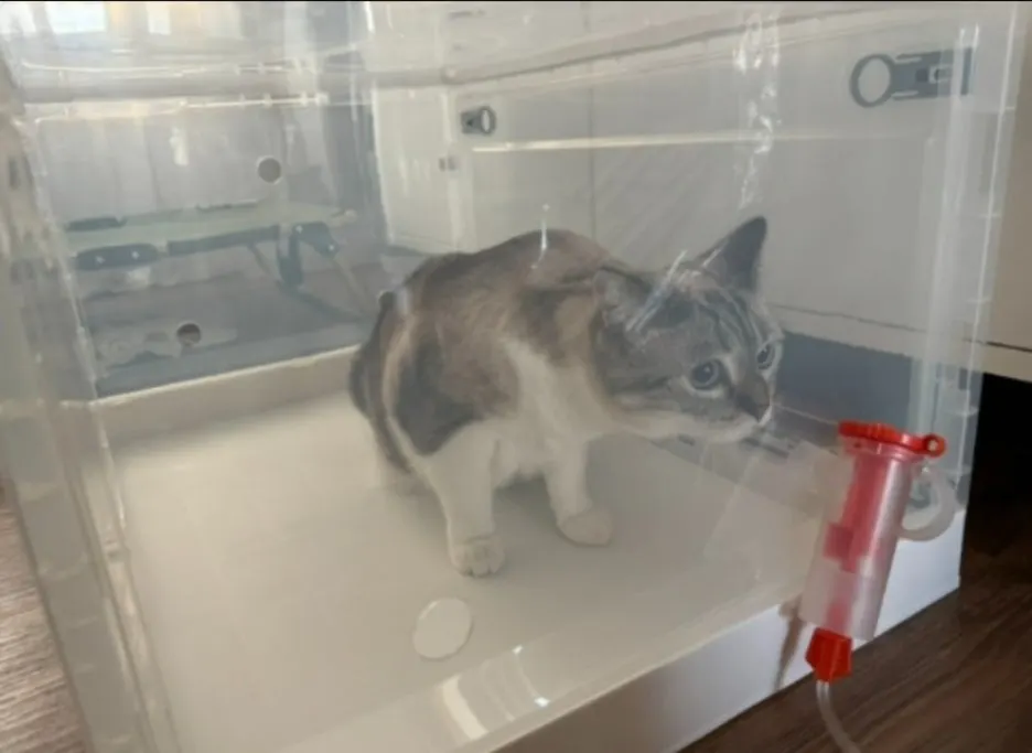 3aa96eb1-0670-49b7-a03d-d8803259b1bb.jpg?type=w1