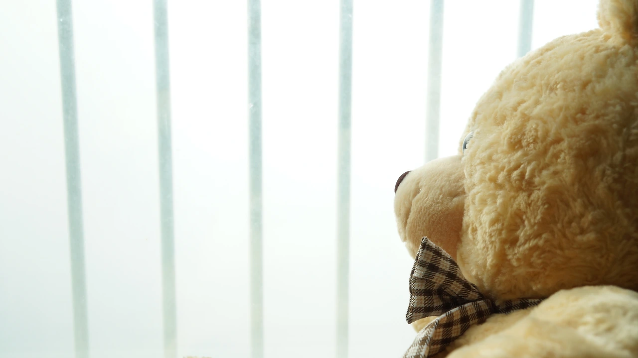 곰인형과 안개.JPG