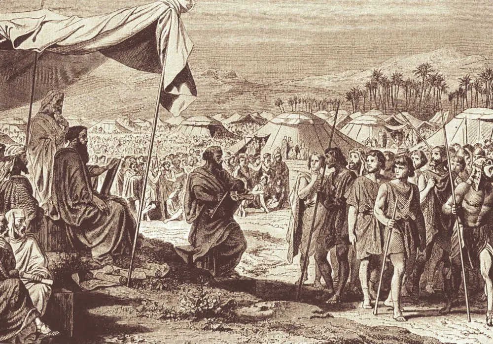 05 629a4284cec0f870d4885b4f_Census%20Numbers.jpeg