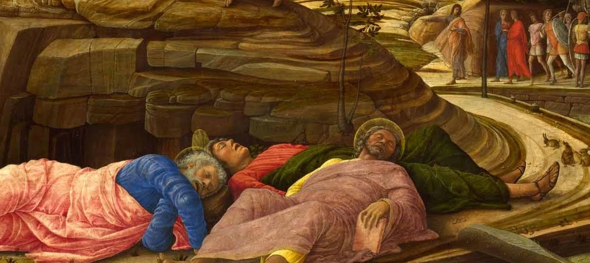 08 sleep-garden.jpeg