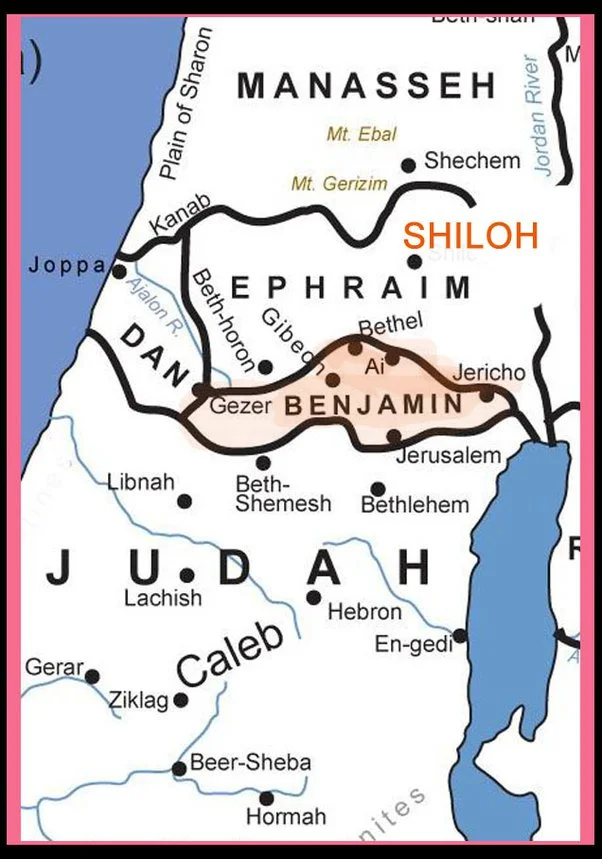 06 main-qimg-8fbf000ce78295349b283e4a41ab02f8-pjlq.jpeg