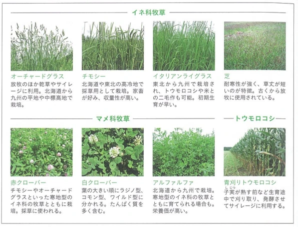 20241125_215857.png?type=w773