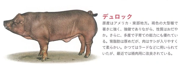 20241126_110415.png?type=w1