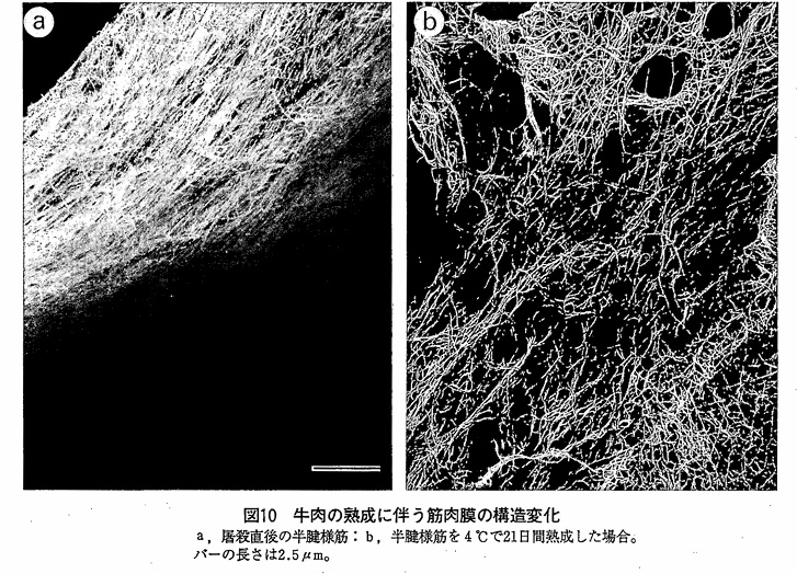 img.png?credential=yqXZFxpELC7KVnFOS48ylbz2pIh7yKj8&expires=1753973999&allow_ip=&allow_referer=&signature=vrxW6k0C0d%2FBovZgaHEcaRs7hUM%3D