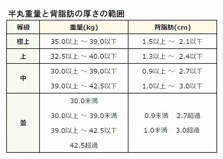 %EB%B8%8C%EB%9E%9C%EB%93%9C4.jpg?type=w773