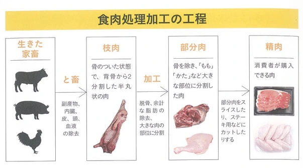 20241125_121548.png?type=w773