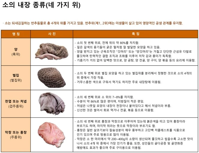소의 위.jpeg