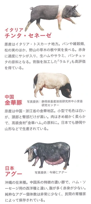 20241126_111634.png?type=w1