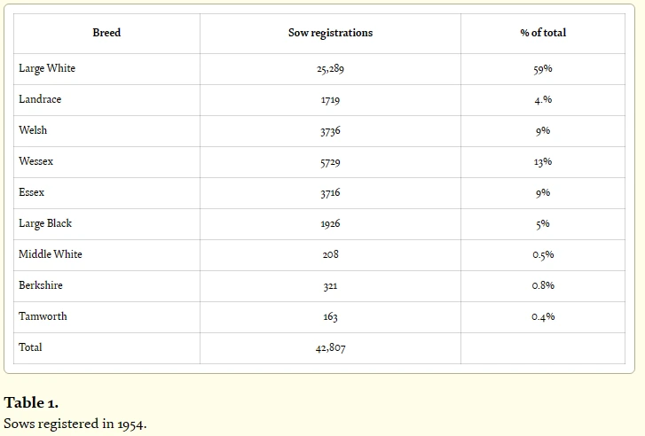 %EC%98%81%EA%B5%AD1.png?type=w773