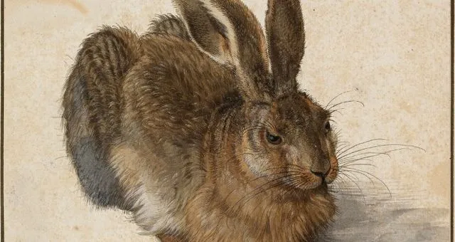 640x340_lievredurer.jpg?type=w773