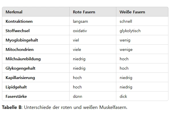 20241124_115415.png?type=w773