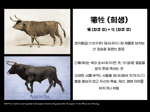 %ED%95%9C%EC%9A%B09.png?type=w773