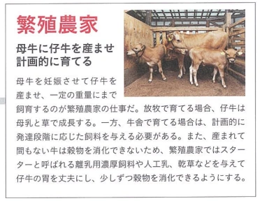 20241125_212621.png?type=w773