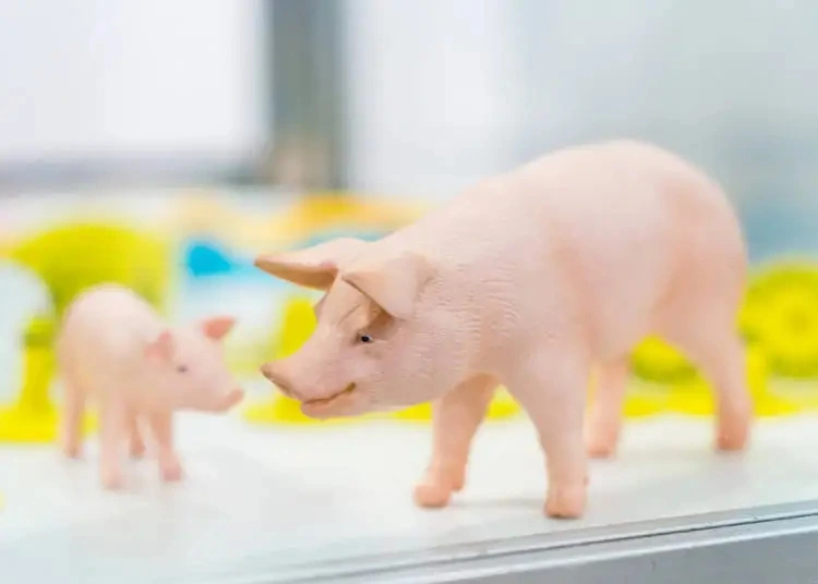 %EB%B8%8C%EB%9E%9C%EB%93%9C6.jpg?type=w773