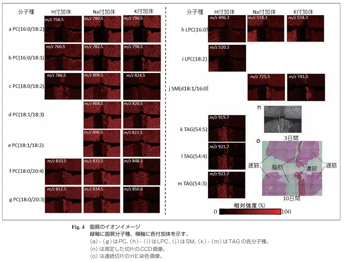 img.png?credential=yqXZFxpELC7KVnFOS48ylbz2pIh7yKj8&expires=1753973999&allow_ip=&allow_referer=&signature=3YOyS460kbIgVCt4CRARVLJtfNo%3D