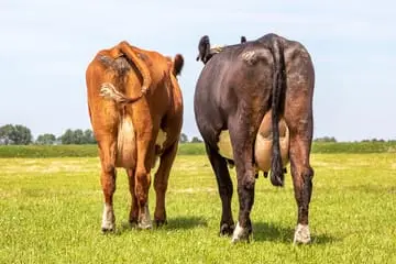 %E3%81%8A%E5%B0%BB.jpg?type=w773