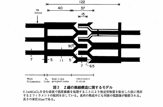 img.png?credential=yqXZFxpELC7KVnFOS48ylbz2pIh7yKj8&expires=1753973999&allow_ip=&allow_referer=&signature=YpQ7RCjh5QzNaNzAHImmIX9MwjM%3D