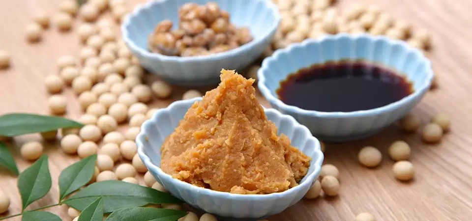 b-tr-3655-03_1683619844.webp?v=1683620057