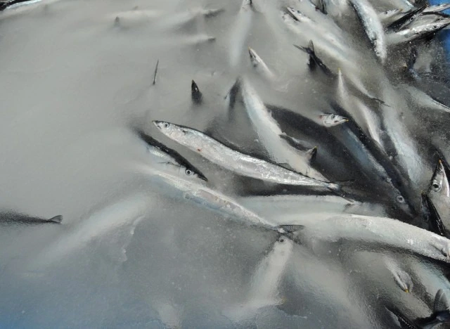 img.jpg?credential=yqXZFxpELC7KVnFOS48ylbz2pIh7yKj8&expires=1753973999&allow_ip=&allow_referer=&signature=9FgftQHXlAHoJ31HWuaTM0mThuQ%3D