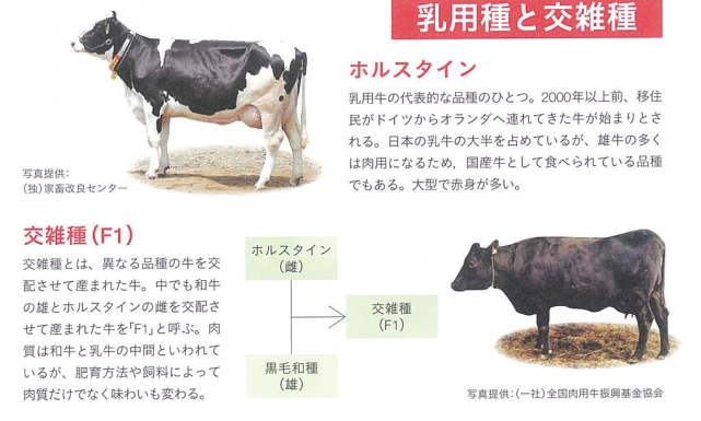 20241125_203308.png?type=w773