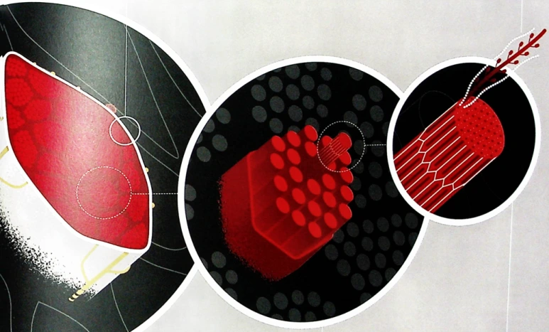 20241124_112415.png?type=w773