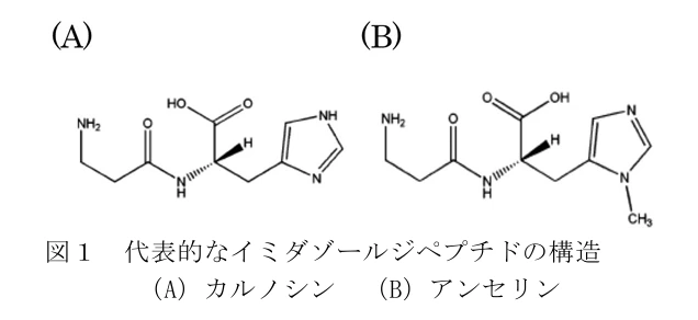 img.png?credential=yqXZFxpELC7KVnFOS48ylbz2pIh7yKj8&expires=1753973999&allow_ip=&allow_referer=&signature=hr5oHGBy0kog6HTCx7P6NO8YuDo%3D