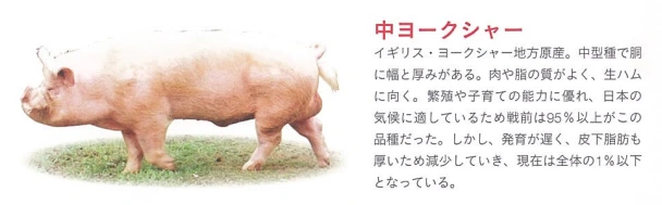 20241126_111306.png?type=w1