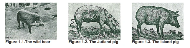 %EB%8D%B410.png?type=w773