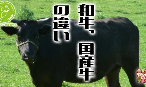 ?src=%22https%3A%2F%2Fchibanian.info%2Fwp-content%2Fuploads%2F2024%2F04%2Fwagyu_kokusangyu2024.jpg%22&type=ff500_300