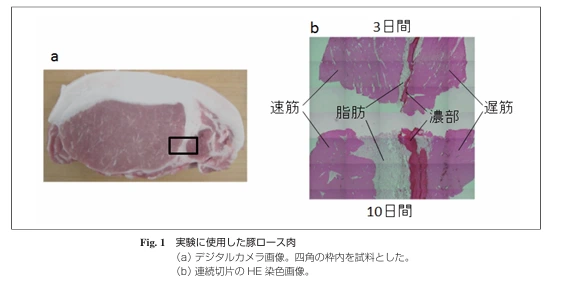img.png?credential=yqXZFxpELC7KVnFOS48ylbz2pIh7yKj8&expires=1753973999&allow_ip=&allow_referer=&signature=Dkt3FpXPnK9HFMT5stqJBQxvtCA%3D