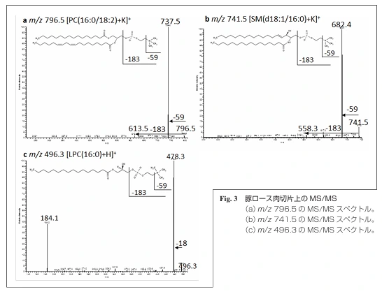 img.png?credential=yqXZFxpELC7KVnFOS48ylbz2pIh7yKj8&expires=1753973999&allow_ip=&allow_referer=&signature=BuzdoPxfUoDbkw%2F41ntf3LsLcEY%3D
