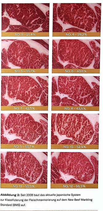 20241124_111601.png?type=w773